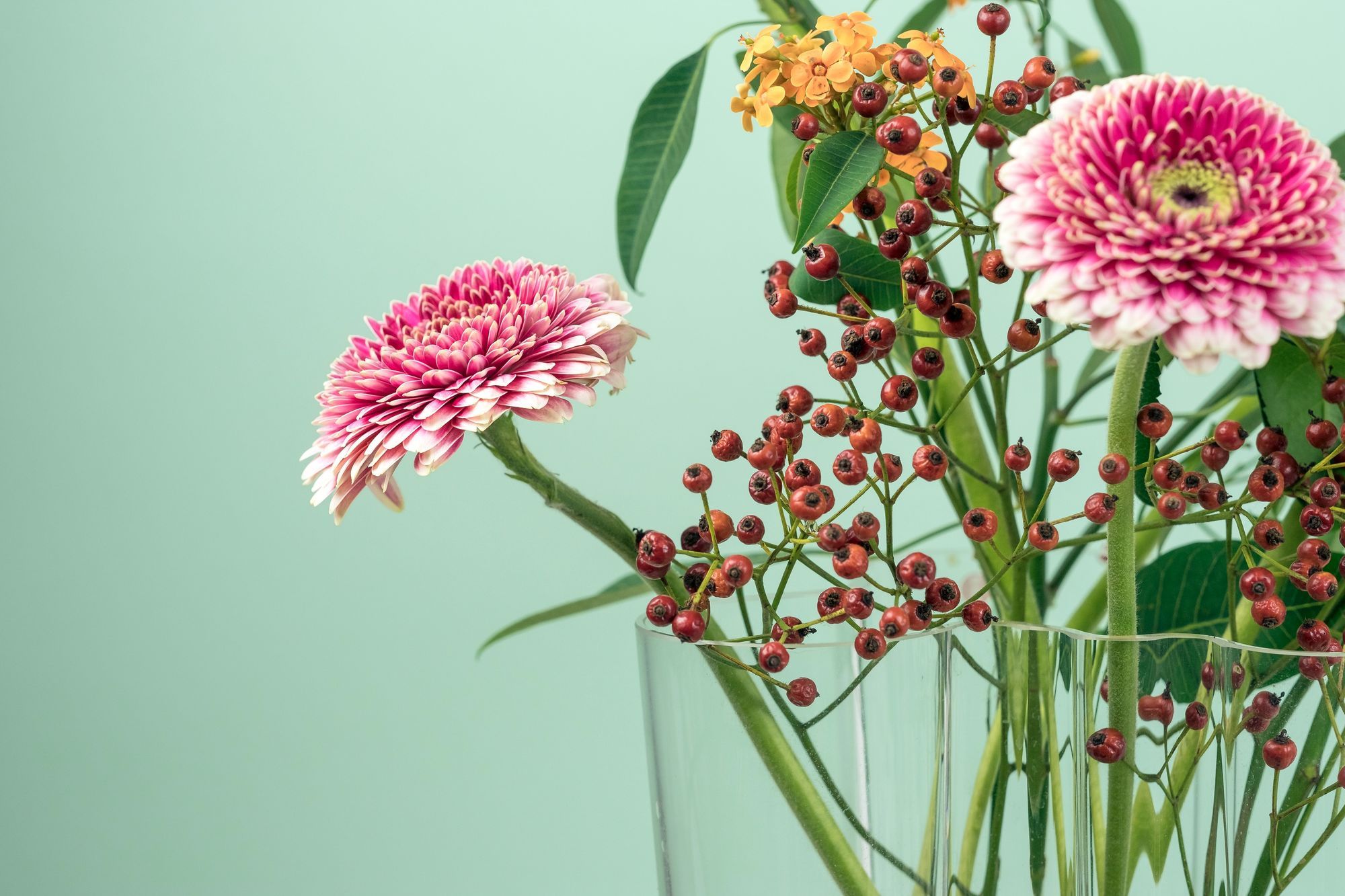 The Guardian — product styling by Ed Kellow